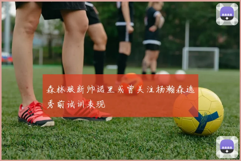 森林狼新帅诺里或曾关注杨瀚森选秀前试训表现