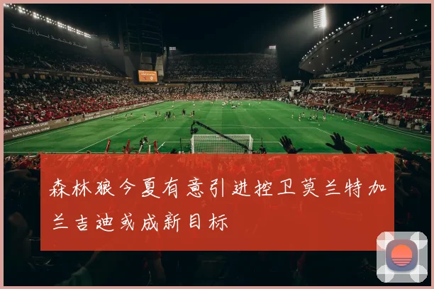 森林狼今夏有意引进控卫莫兰特加兰吉迪或成新目标
