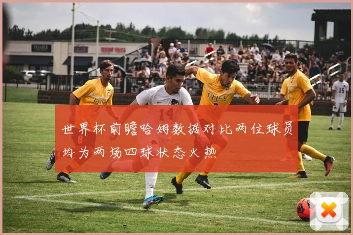 世界杯前瞻哈姆数据对比两位球员均为两场四球状态火热