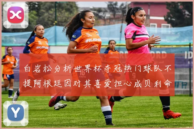 白岩松分析世界杯夺冠热门球队不提阿根廷因对其喜爱担心成贝利命运